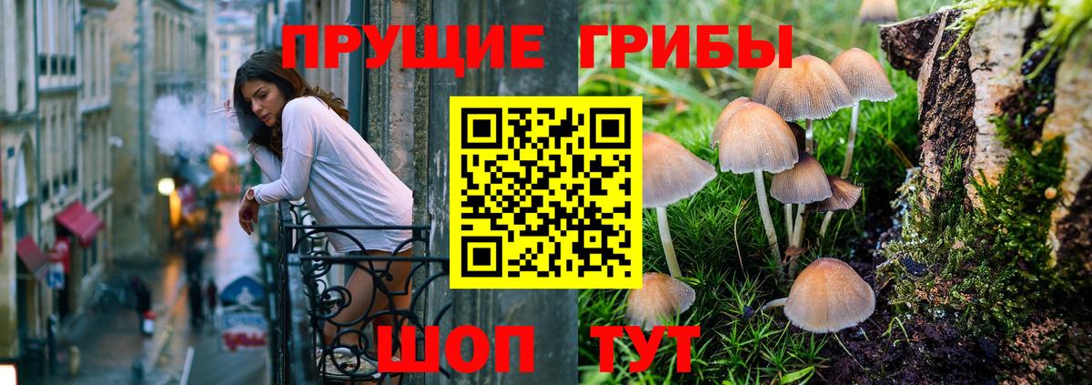 Псилоцибиновые грибы Magic Shrooms  Вход с VPN  Уссурийск 